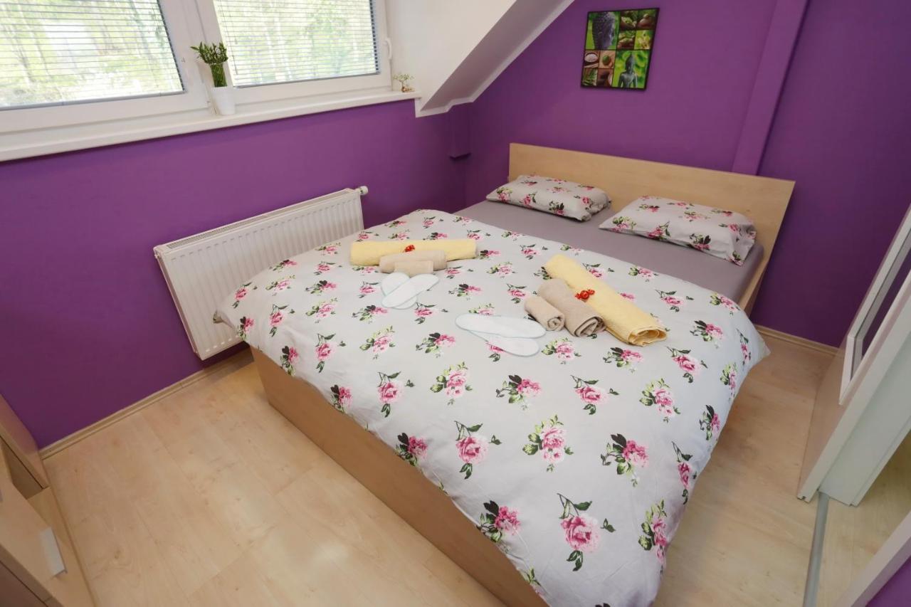 ברז'יס Lux Living Apartments Budic Near Terme Catez מראה חיצוני תמונה