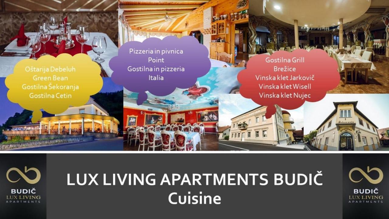 ברז'יס Lux Living Apartments Budic Near Terme Catez מראה חיצוני תמונה